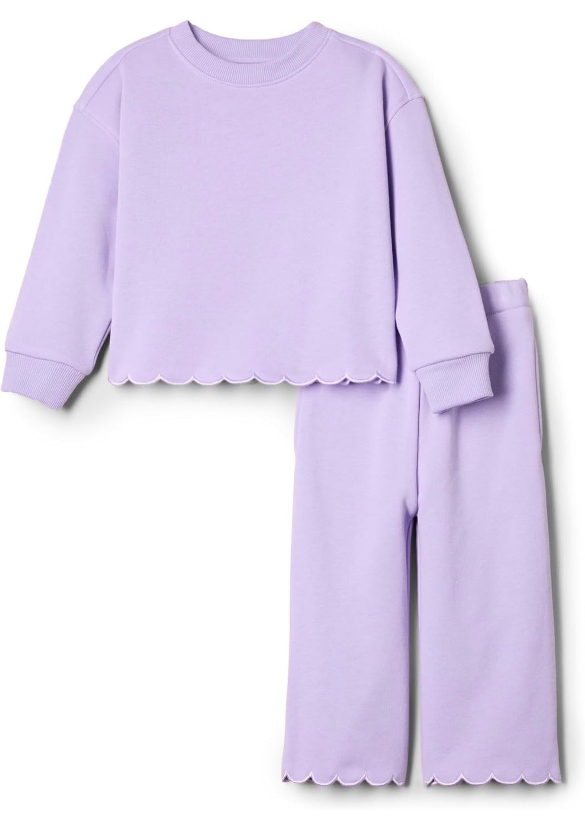 Purple Scallop Set